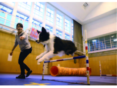 神戸動植物環境専門学校イメージ