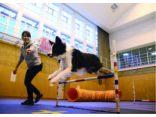神戸動植物環境専門学校イメージ