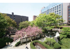 大学 短期大学 専門学校の学費がわかる 学費 Jp
